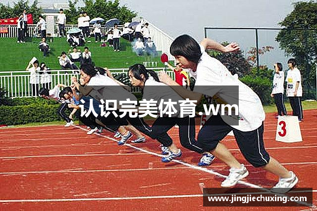 认识完美体育.wm